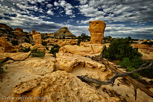 An area of strange sandstone formations in a remote section of the Ojito Wilderness